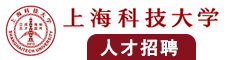 日B片、COm